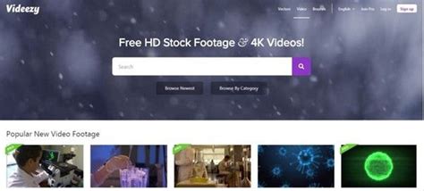 videezy cam|Download Free HD and 4K Videos, Footage & Clips .